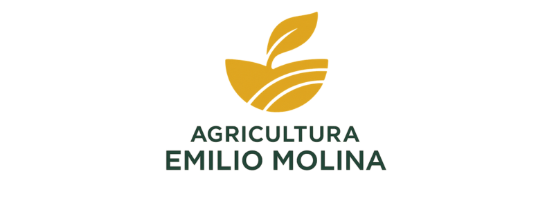 Diseño sin título (26)